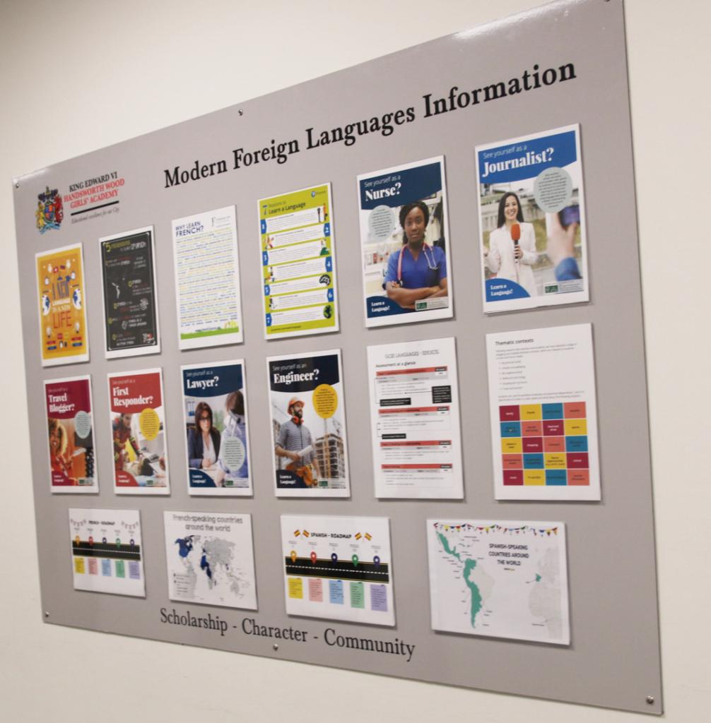 MFL Board