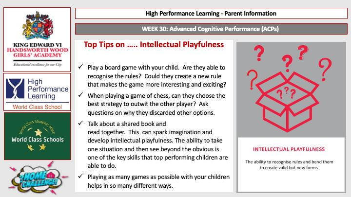 Intellectual Playfulness